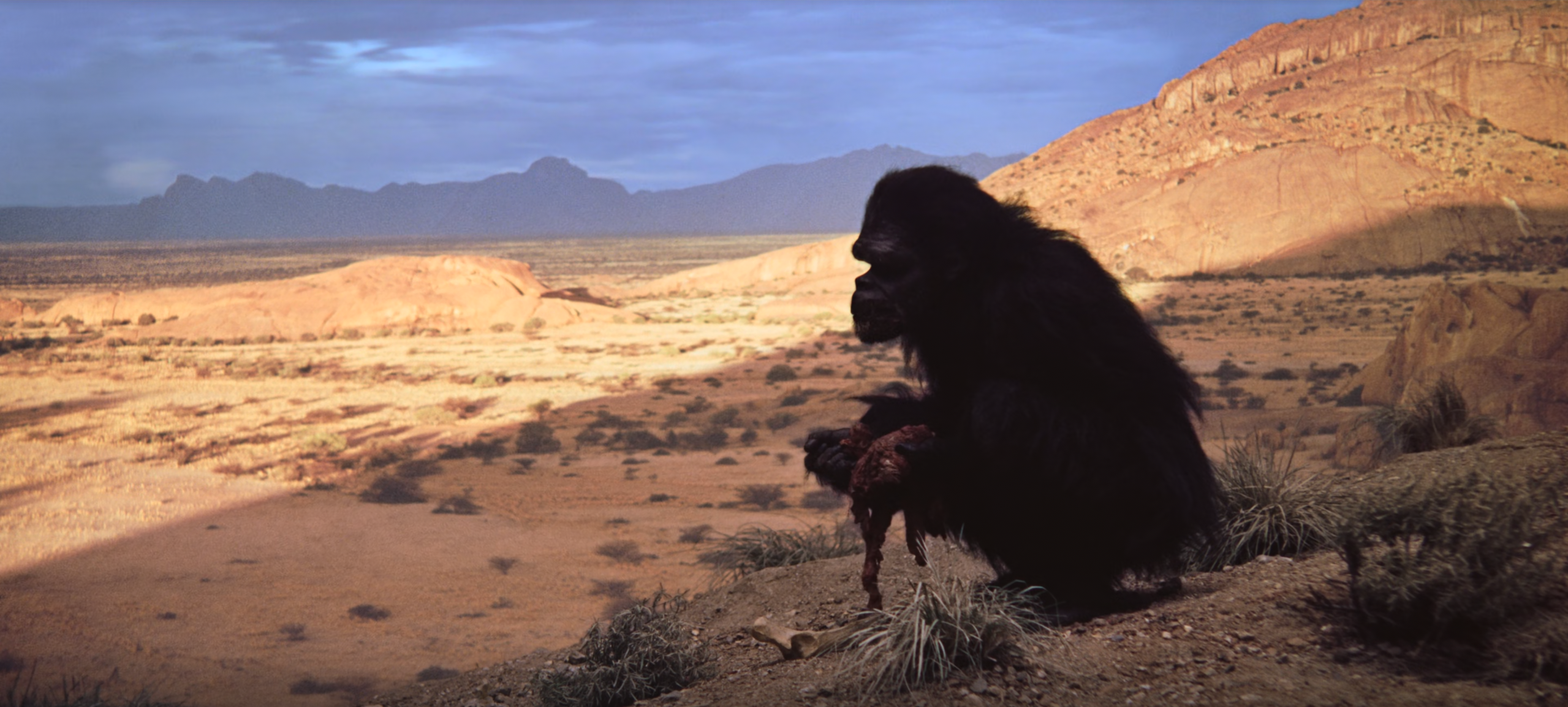 Fotograma de la película mostrando a un mono comiendo carne.